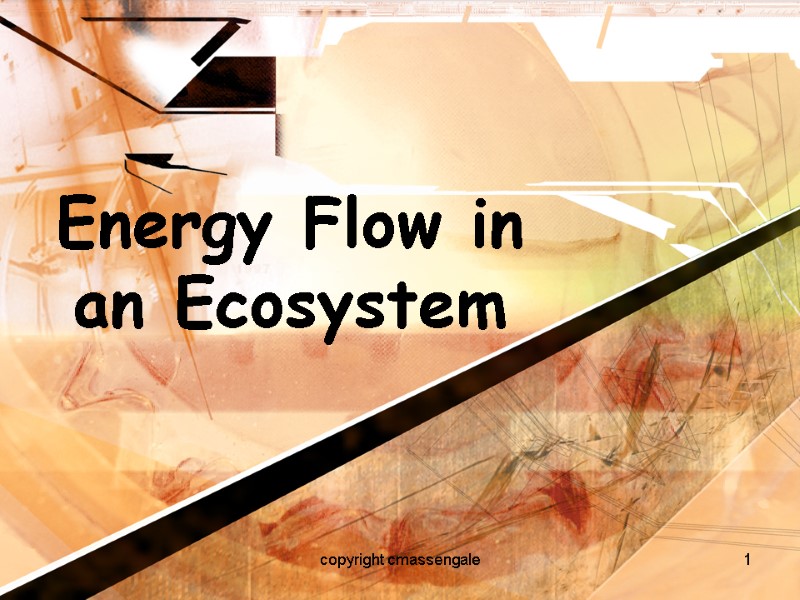 1 Energy Flow in an Ecosystem copyright cmassengale